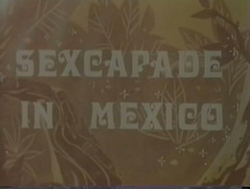 Sexcapade in Mexico / Сексуальная выходка в Мексике